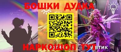 индика Будённовск
