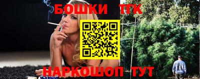 индика Будённовск