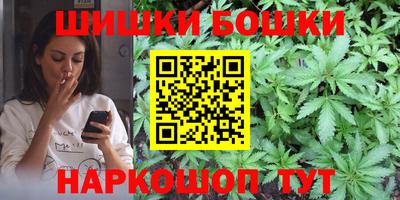 индика Будённовск