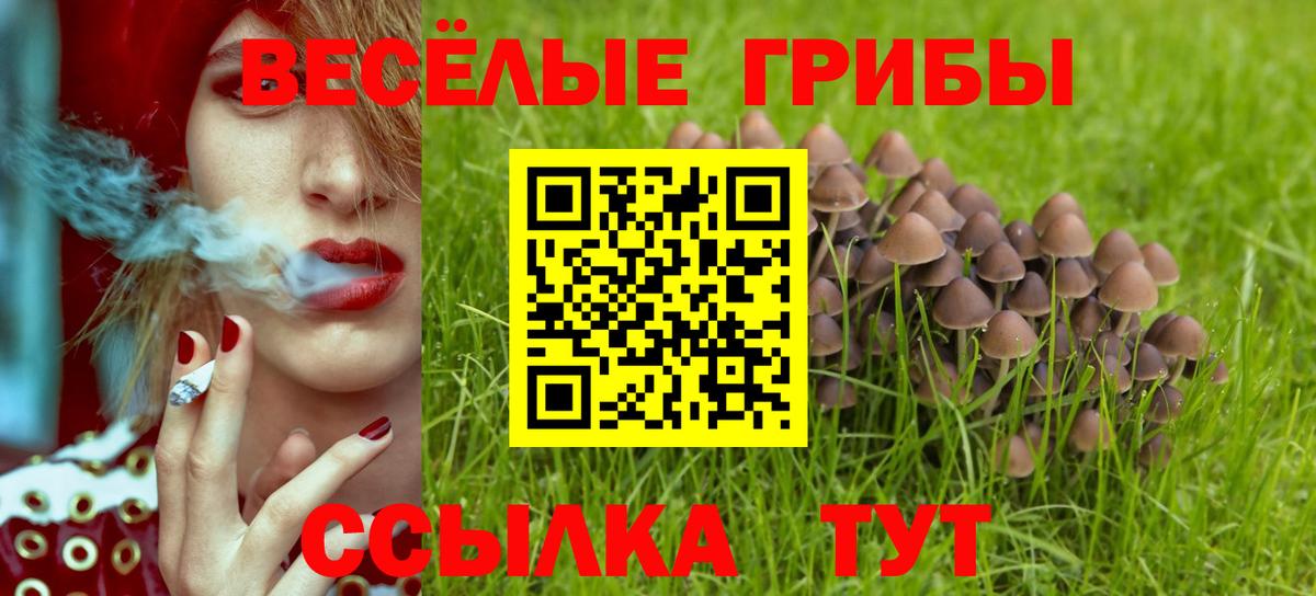 Псилоцибиновые грибы Psilocybe  где можно купить   Чусовой  Вход с VPN  Псилоцибиновые грибы Magic Shrooms 