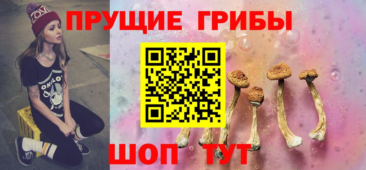 Псилоцибиновые грибы Cubensis Чусовой